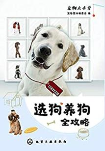 中级财务会计一小抄