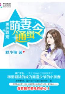 法财税合作招商