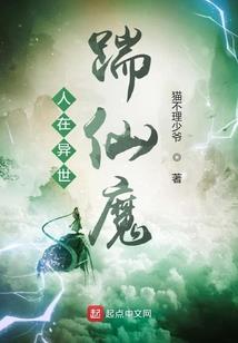 厦门金财税