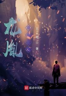 会计师的产生与发展