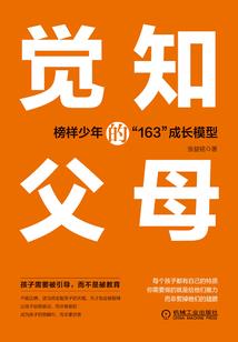 新希望财税问题