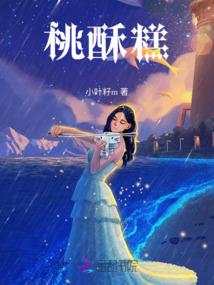 老板请找专业会计师