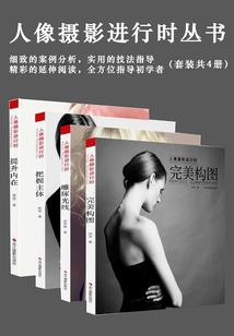 会计监督的政府监督