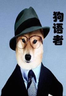 黄浦区项目财税咨询选择