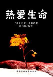 东奥女排赛程中国