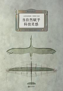 未开票已申报会计分录