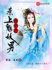 财税培训税友