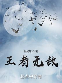 前任注册会计师回复