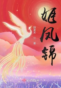 最新的注册会计师教材