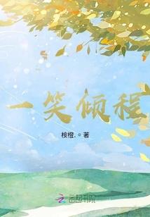 2013广东财政收入