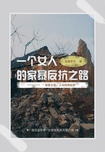 大批金额入账会计分录