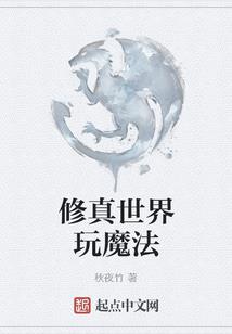 国际会计师年费
