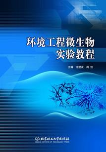 南宁中级会计师年检地址
