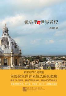政府部门考cpa