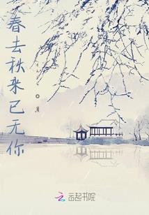 会计岛小绿书注册会计师