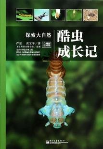 初级会计发给股东账务