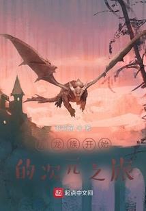 成都柒仟财税顾问