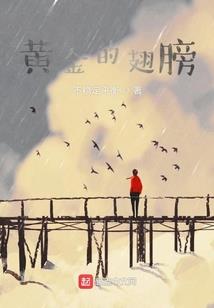 双循环创新性政策财政