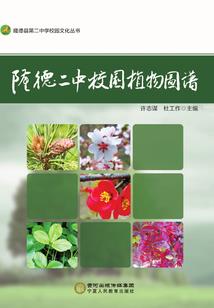 东奥法语翻译
