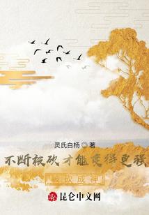 东奥会中日冰球比赛