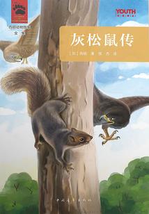 注税教材及东奥