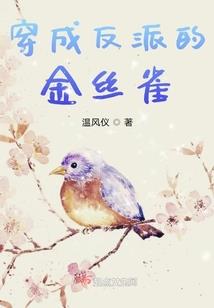 泸州市财政局会计网