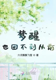网中网会计实训心得