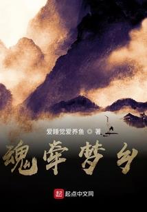 会计分录叙事簿