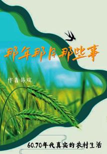 注册会计师应当认可
