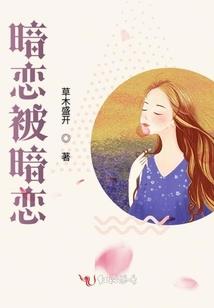 陆良县财税公司报价多少