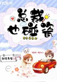 国外老师讲cpa