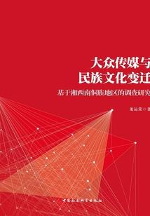 初级会计考试ie设置