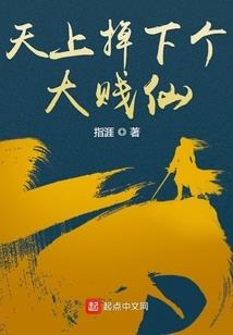 中级会计师近况怎么样