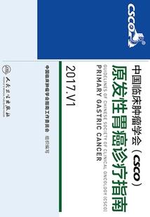 关于东奥的烟花