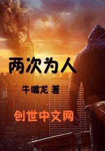 专业会计与企业管治