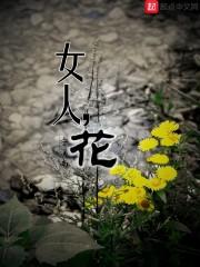 经济师会计师么区别