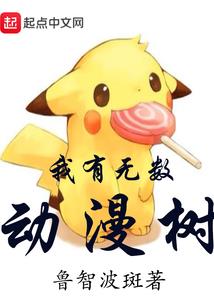 会计考试每次可以考几科