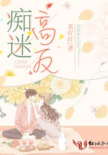 吉林省会计师有哪些