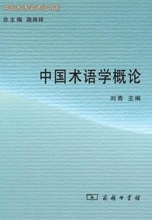 东奥会专属飞机图片大全