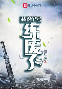 新会计准则系统