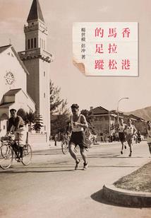 swot分析东奥