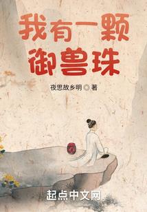 管理会计师初使用年限