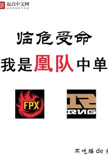 会计助理对未来的计划