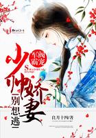 购买麻布的会计分录