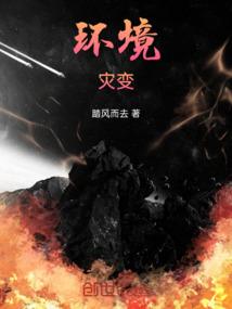 会计新手选什么岗位最好