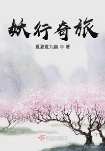 海南省财政专项基金项目