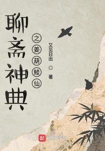 财政证件挂靠