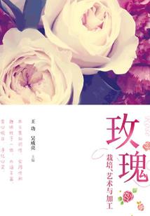 cpa聚酰胺