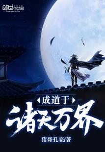 大金说财税