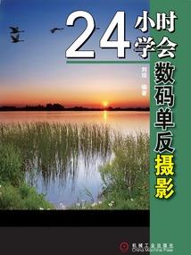 四大会计师事务所在中国